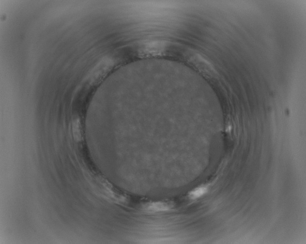 X0000076320224200610272012