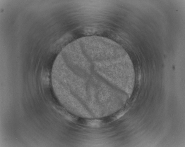 X0000076320226200610272012