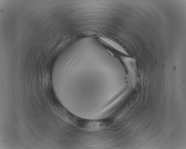 X0000076320227200610272012