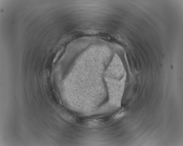 X0000076320229200610272012