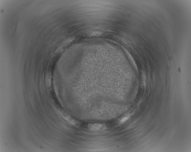 X0000076320230200610272012