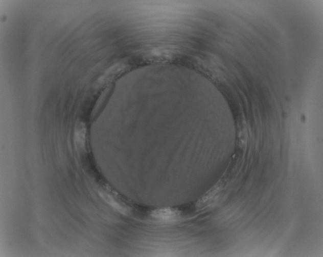 X0000076320231200610272012