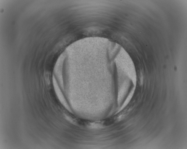 X0000076320232200610272012