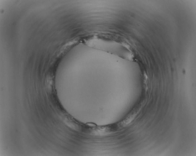 X0000076320235200610272012