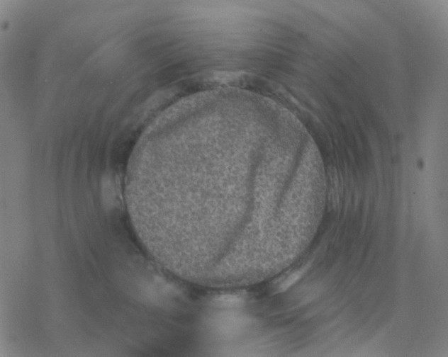 X0000076320236200610272012