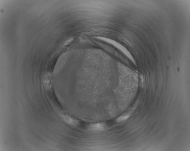 X0000076320237200610272012