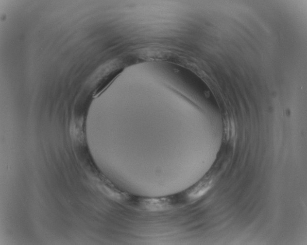 X0000076320239200610272012