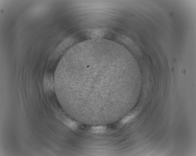 X0000076320240200610272012