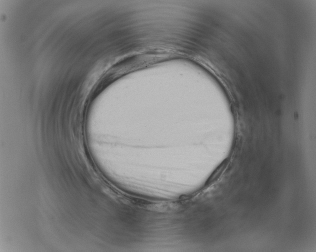 X0000076320241200610272011