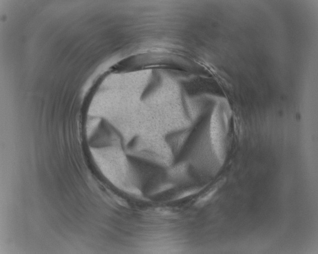 X0000076320244200610272011