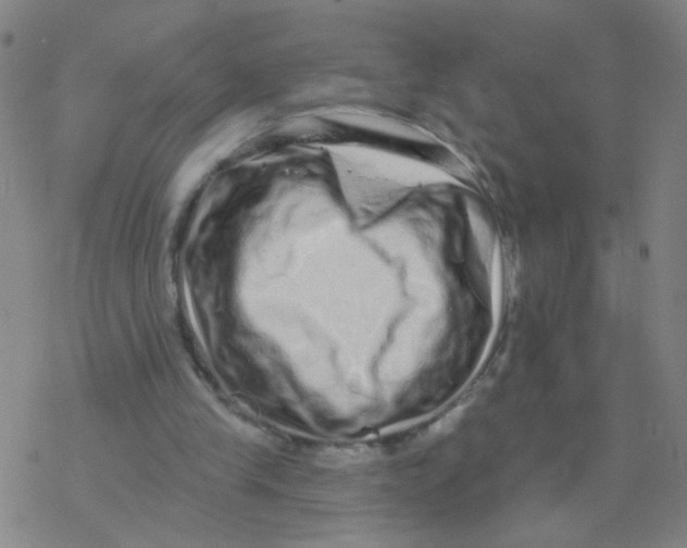 X0000076320245200610272011