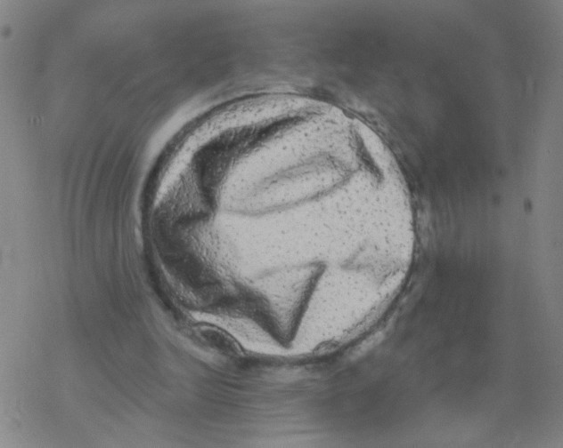 X0000076320246200610272011