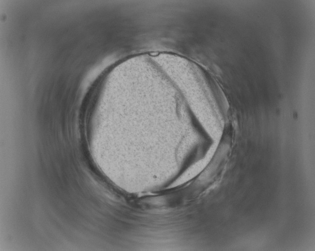 X0000076320248200610272011