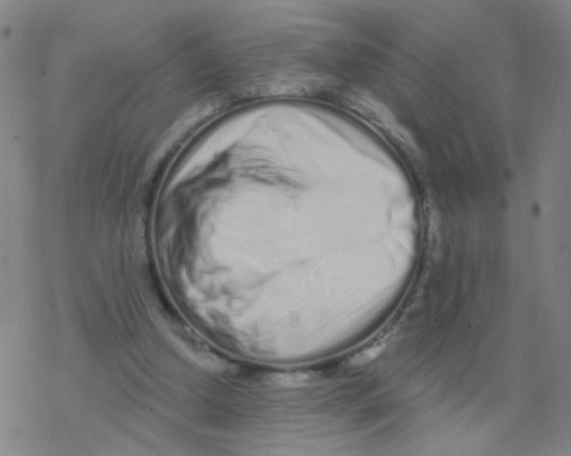 X0000076320250200610272011