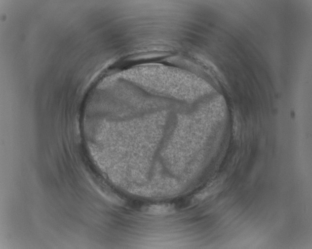 X0000076320251200610272011