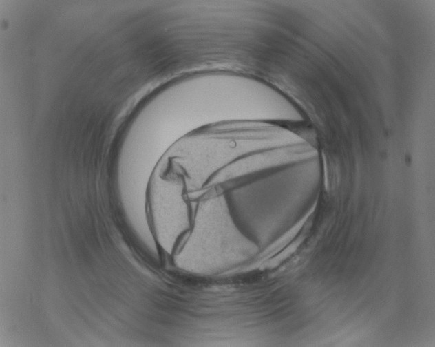 X0000076320252200610272011