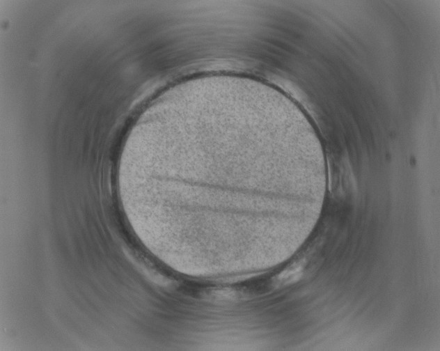 X0000076320253200610272011