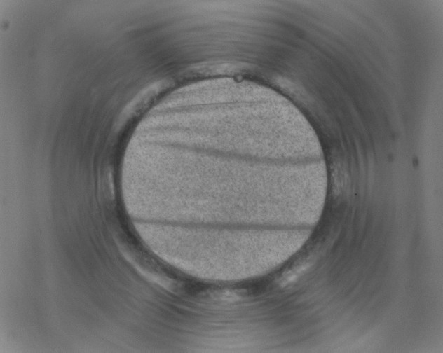 X0000076320254200610272011