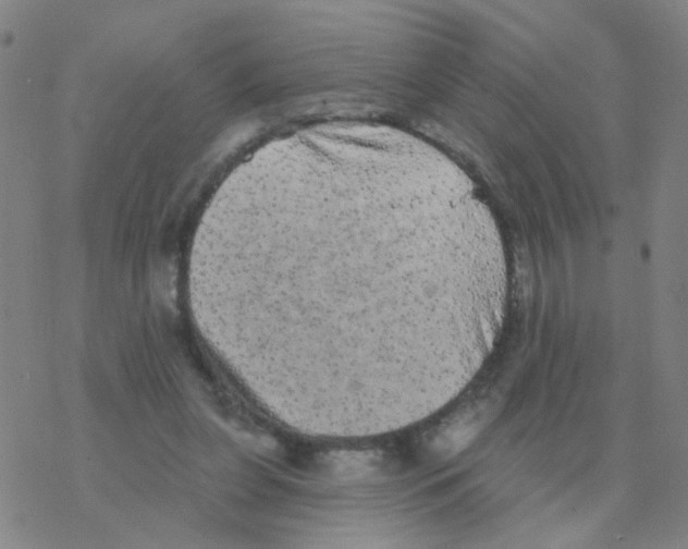 X0000076320255200610272011