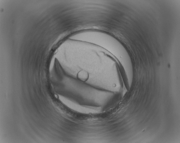 X0000076320256200610272011