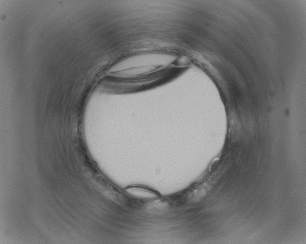 X0000076320257200610272011