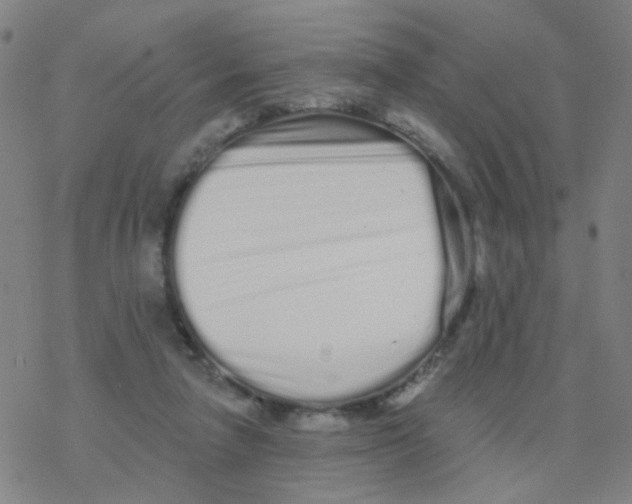 X0000076320258200610272011