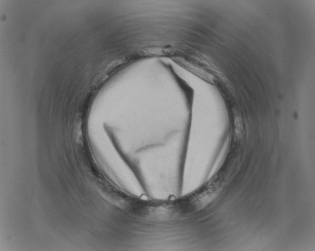 X0000076320259200610272011