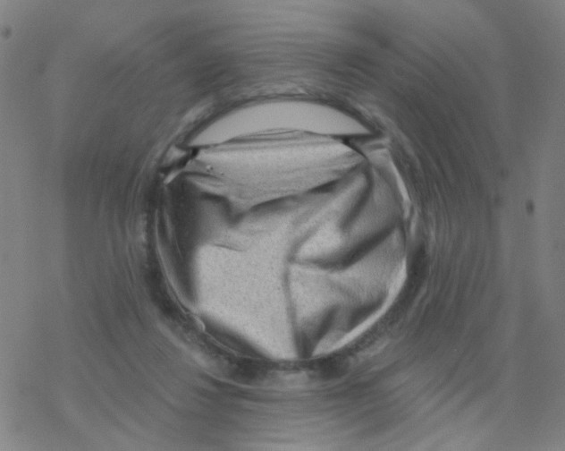 X0000076320260200610272011