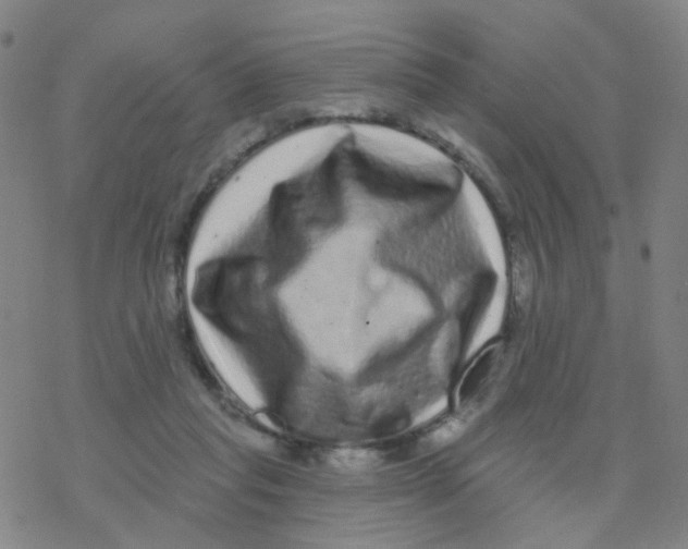 X0000076320261200610272011