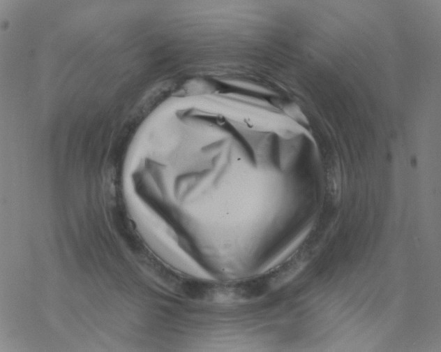 X0000076320264200610272011