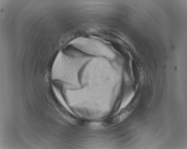 X0000076320265200610272012