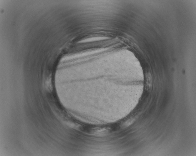 X0000076320267200610272012