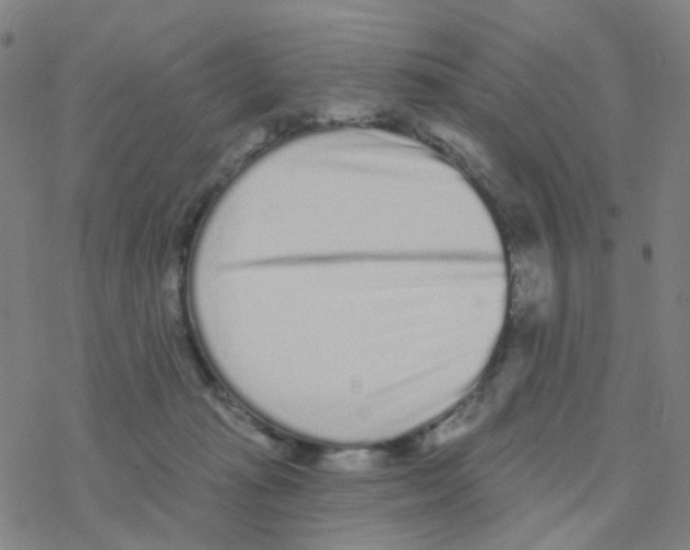 X0000076320269200610272012