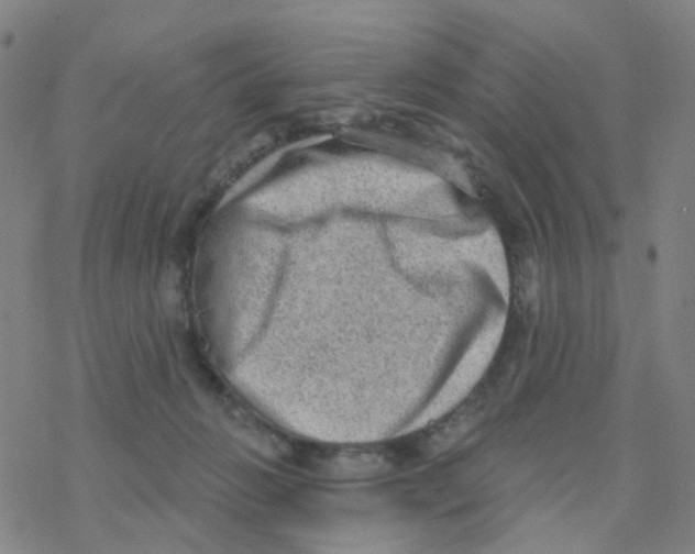 X0000076320270200610272012