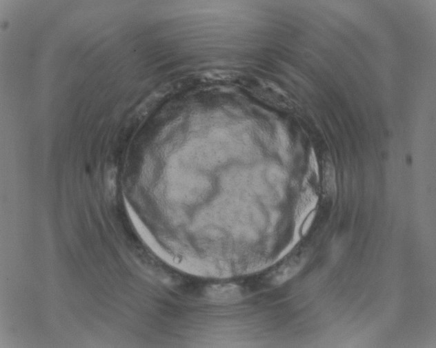 X0000076320271200610272012