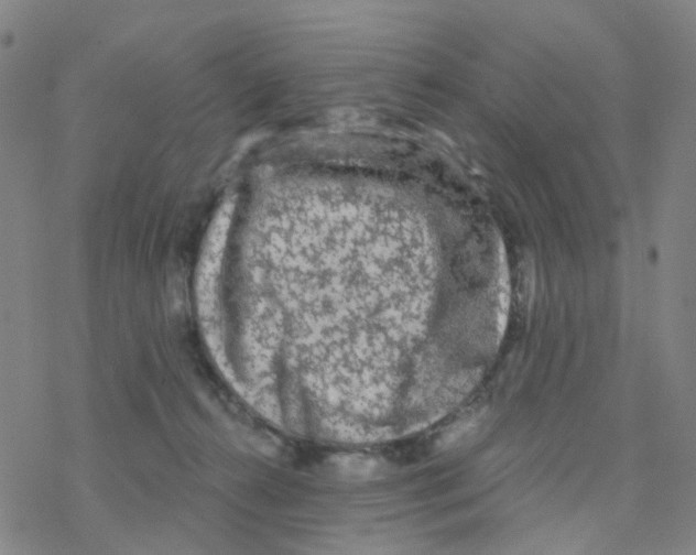 X0000076320272200610272012