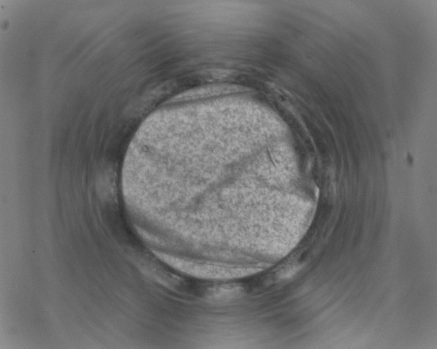 X0000076320274200610272012