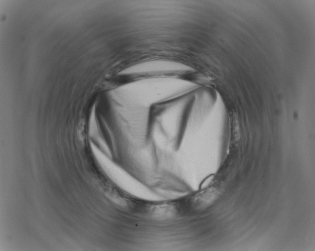 X0000076320275200610272012