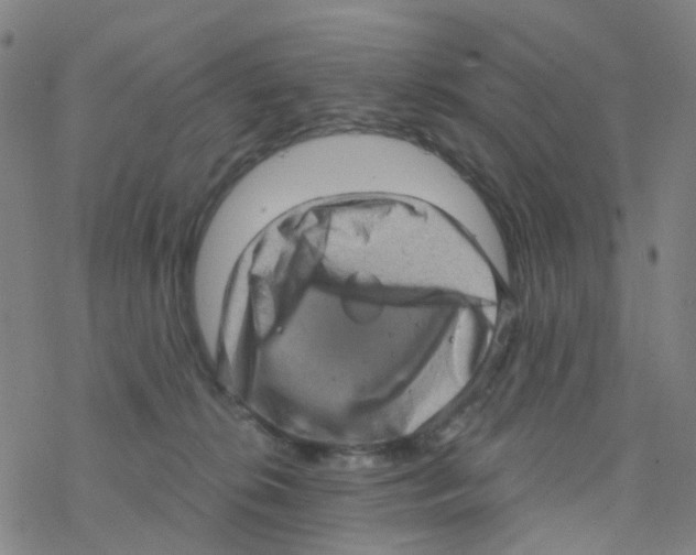 X0000076320276200610272012