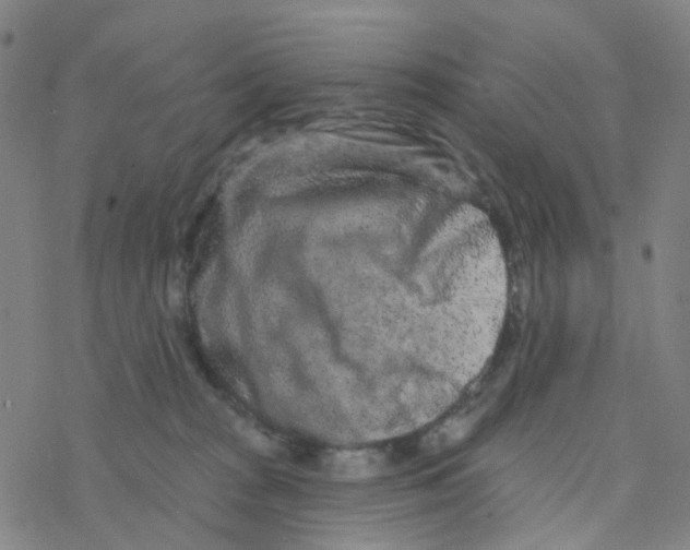 X0000076320277200610272012