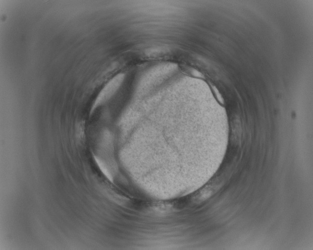 X0000076320278200610272012