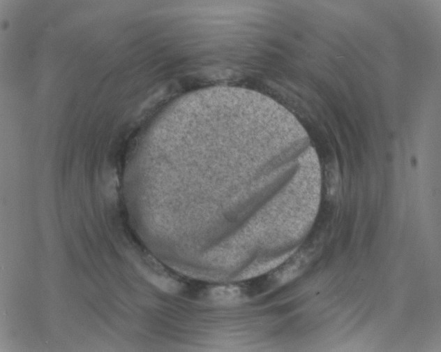 X0000076320279200610272012