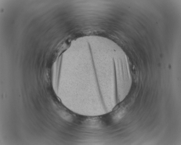 X0000076320280200610272012