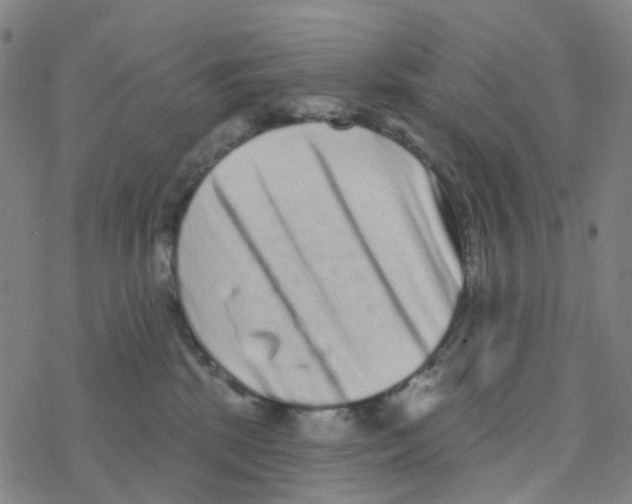 X0000076320281200610272012