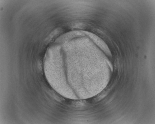 X0000076320282200610272012