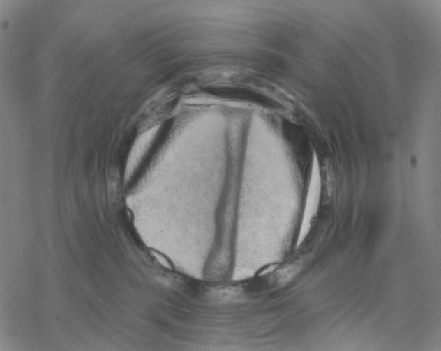 X0000076320283200610272012