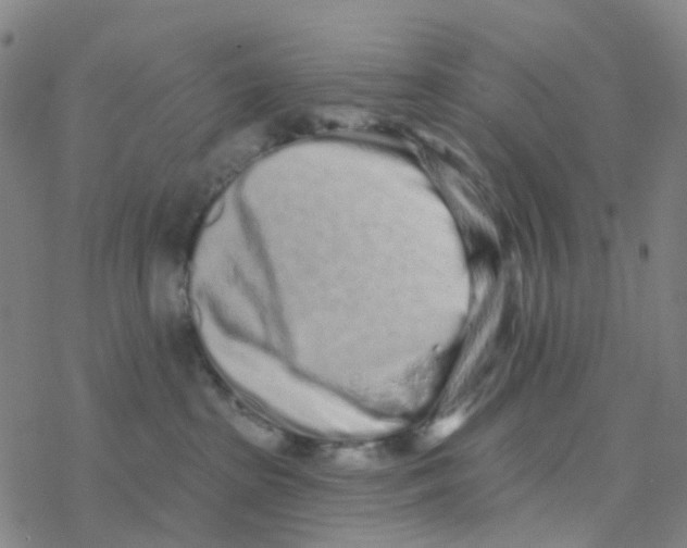 X0000076320285200610272012