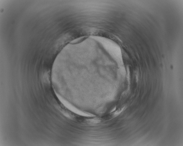 X0000076320286200610272012