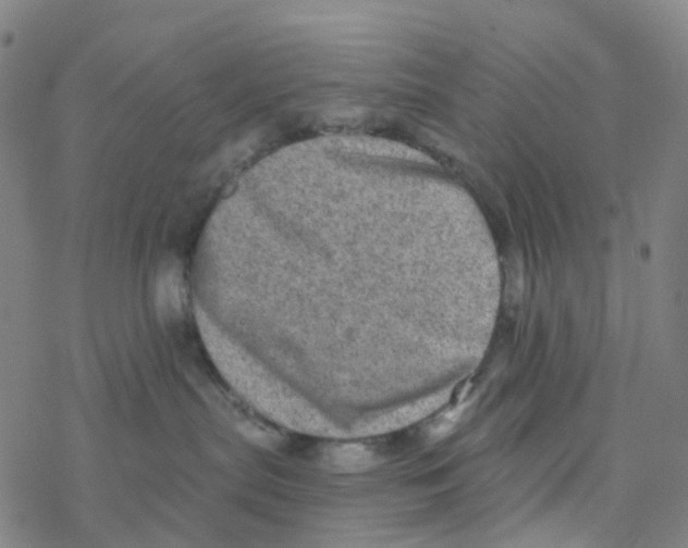 X0000076320287200610272012