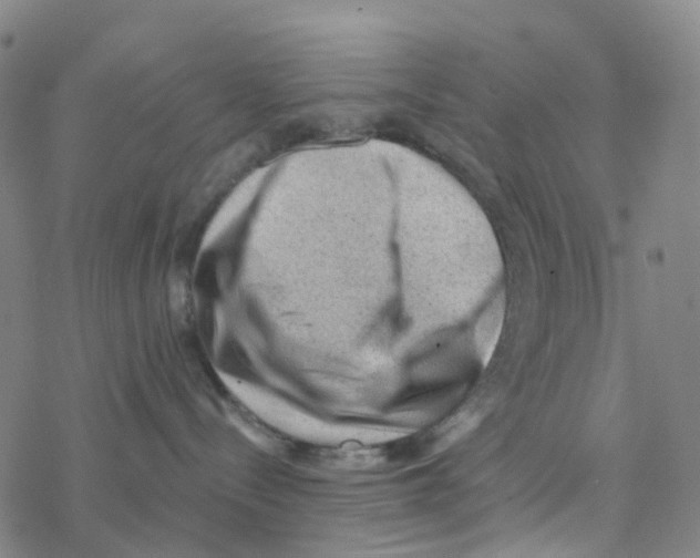 X0000076320288200610272012